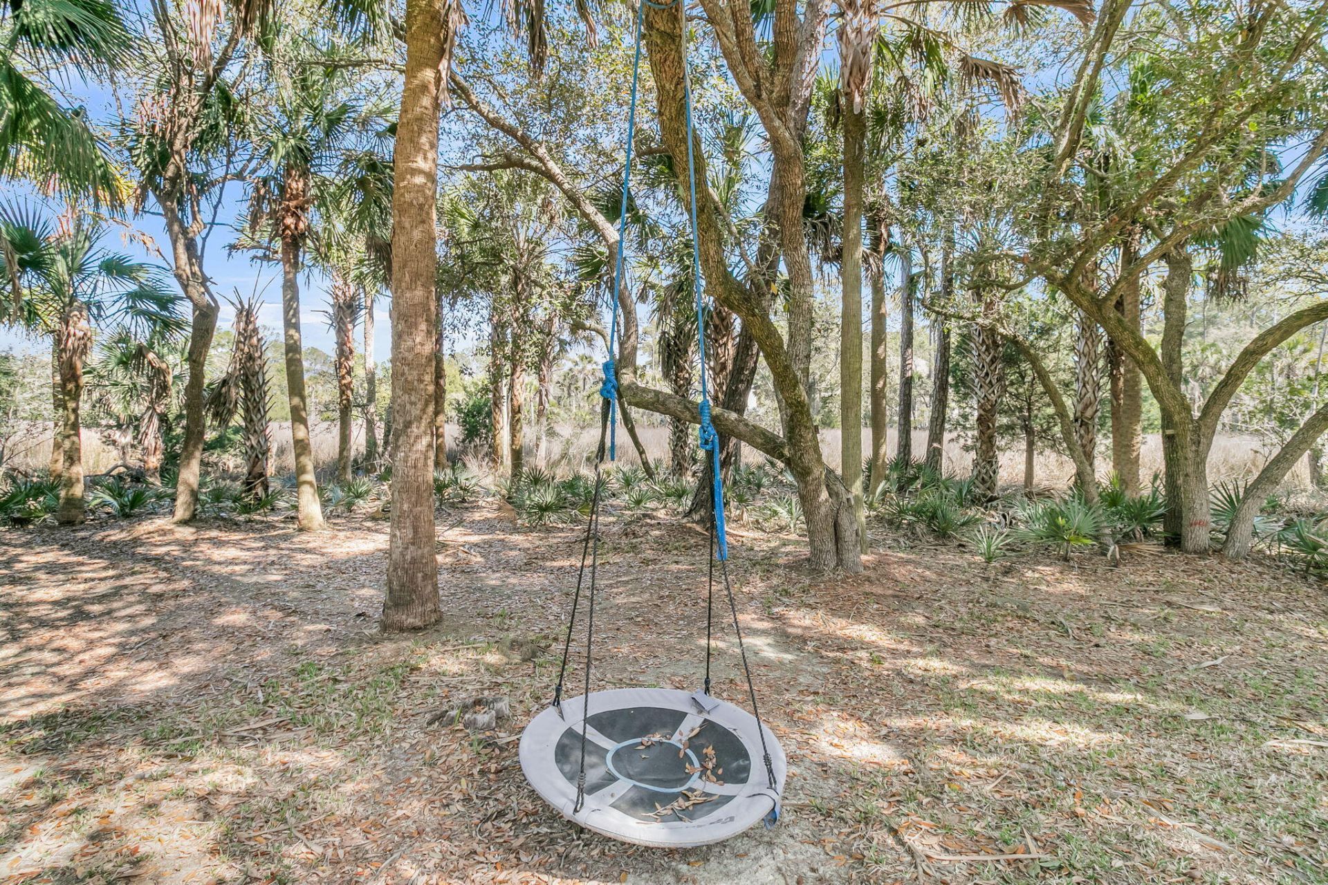 1440 Deer Walk Court Photo 45