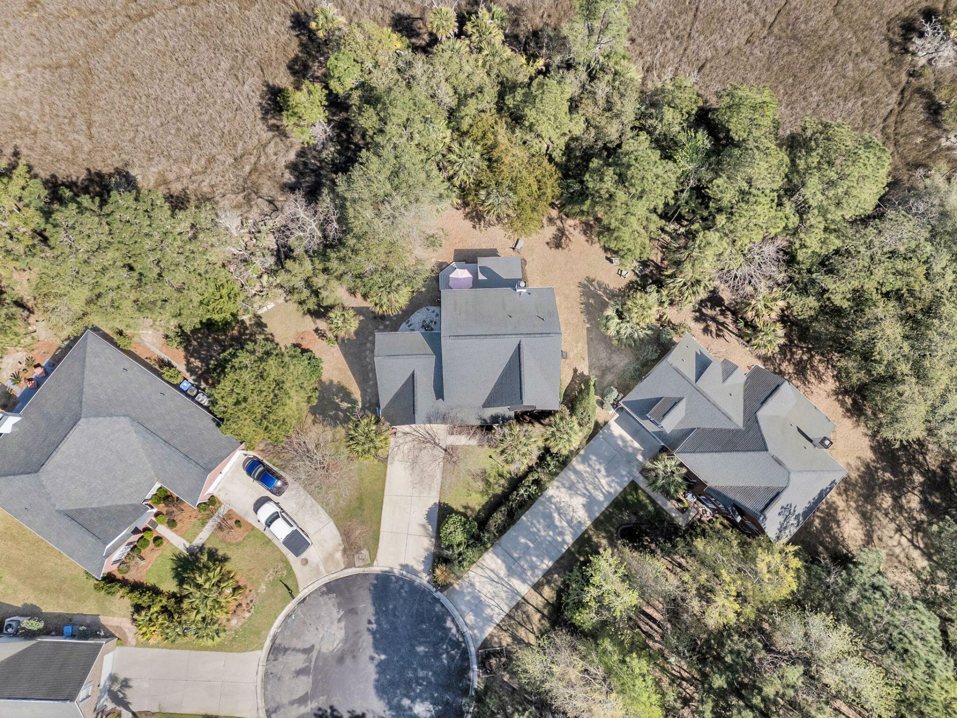 1440 Deer Walk Court Photo 58