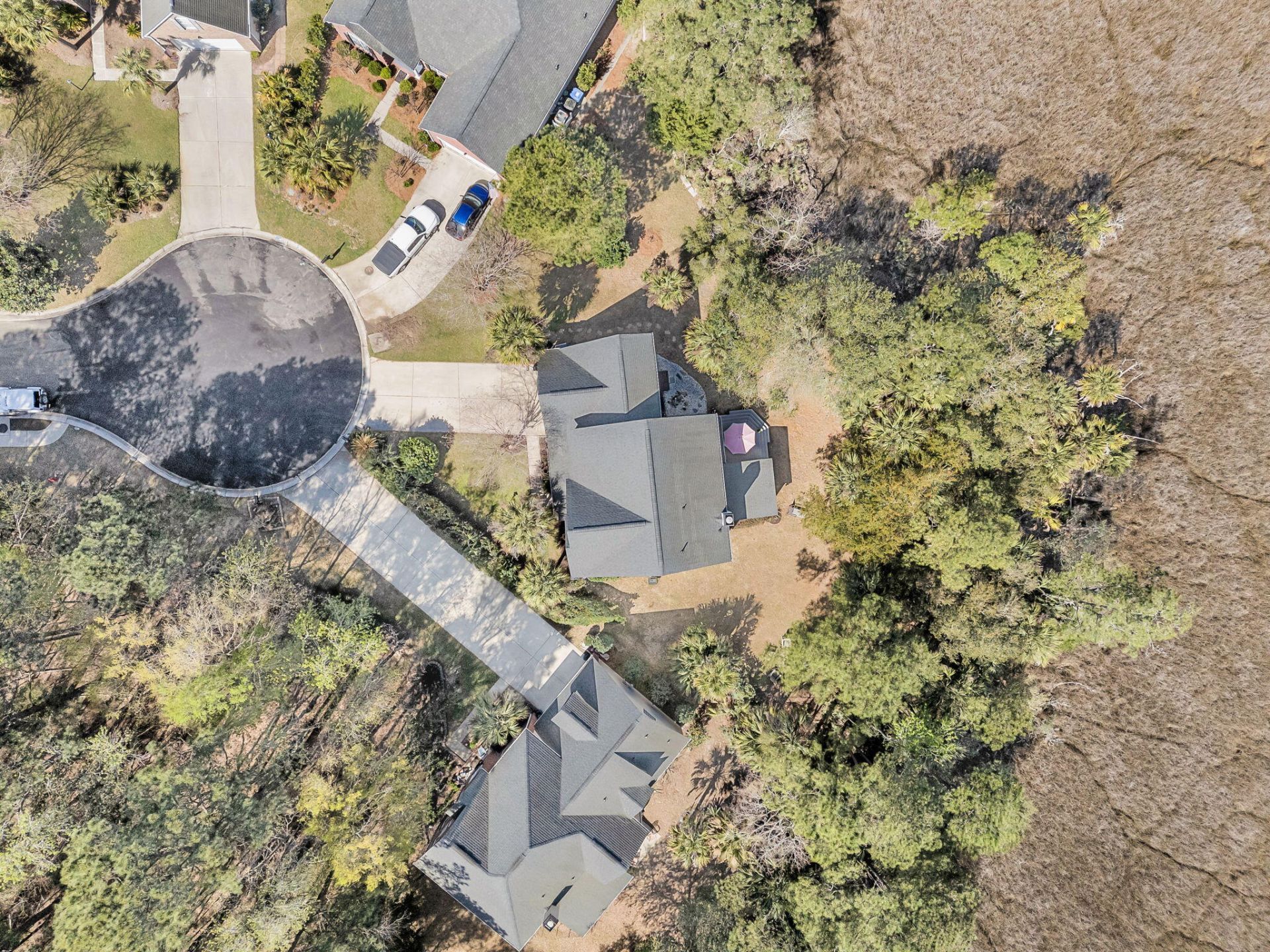 1440 Deer Walk Court Photo 59