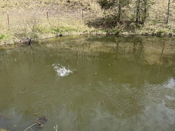 00 Kyles Ford (35 acres) Highway, Kyles Ford, TN 37765