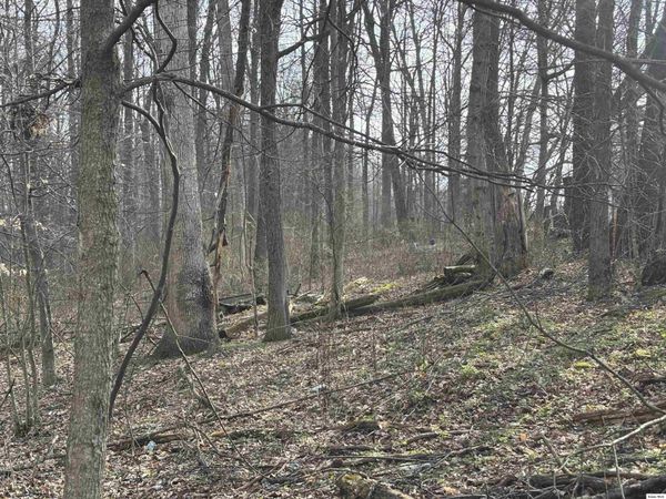 17951 E Shady Lane, Butler, OH 44822