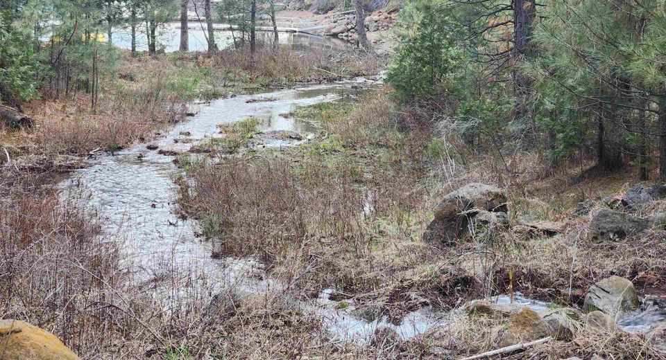 2522 Big Springs Road, Lake Almanor, CA 96137 Photo