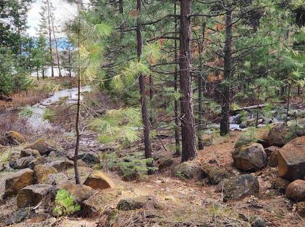 2522 Big Springs Road, Lake Almanor, CA 96137 Photo