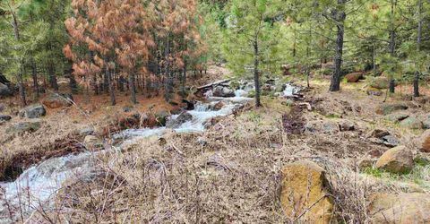 2522 Big Springs Road, Lake Almanor, CA 96137 Photo