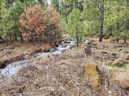 2522 Big Springs Road, Lake Almanor, CA 96137 Photo