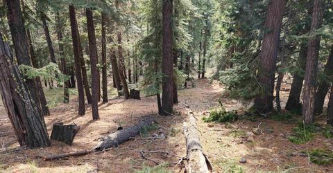 2522 Big Springs Road, Lake Almanor, CA 96137 Photo