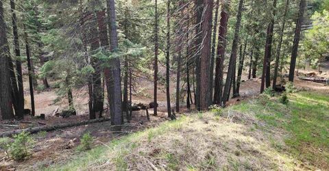 2522 Big Springs Road, Lake Almanor, CA 96137 Photo