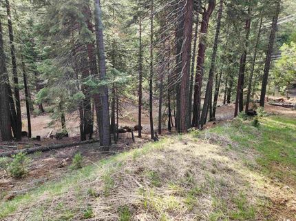 2522 Big Springs Road, Lake Almanor, CA 96137 Photo