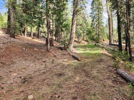 2522 Big Springs Road, Lake Almanor, CA 96137 Photo