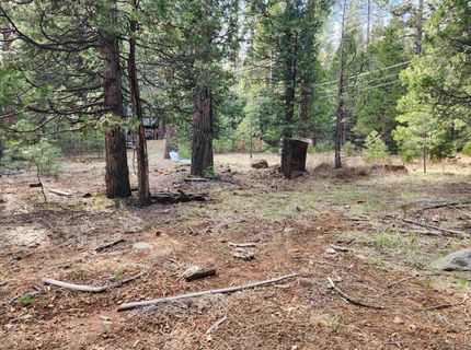 2522 Big Springs Road, Lake Almanor, CA 96137 Photo