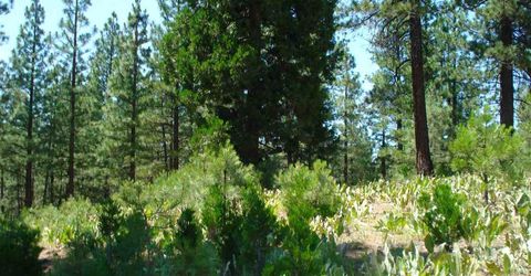 69 Blacktail Ridge, Portola, CA 96122 Photo