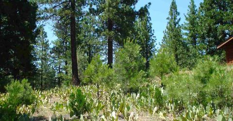 69 Blacktail Ridge, Portola, CA 96122 Photo