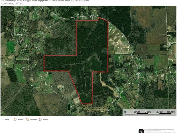 420 Acres PALMER Road, Livingston, LA 70754