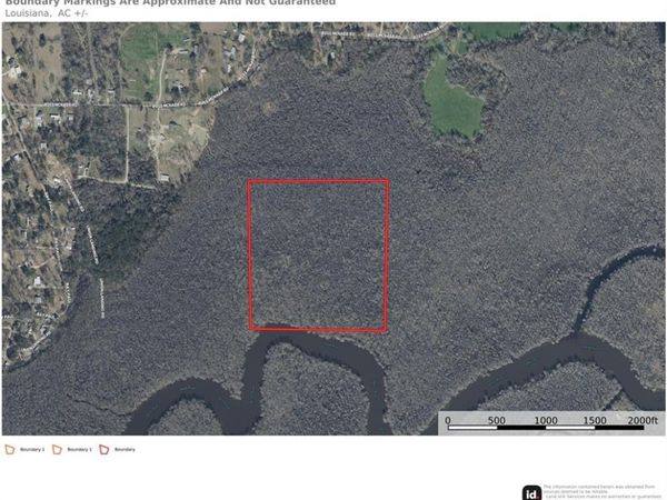 42 Acre (OFF) BOSS MCNABB Road, Livingston, LA 70754