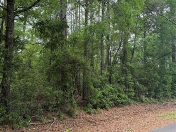 TBD N SAINT CHARLES Avenue , Loranger, LA 70446