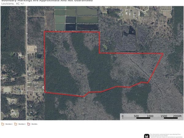 135 Acres BELLE WOODS Drive, Holden, LA 70744