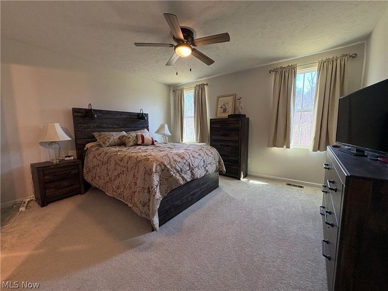 730 Whisper Creek Lane, Lodi, OH 44254 Photo 18