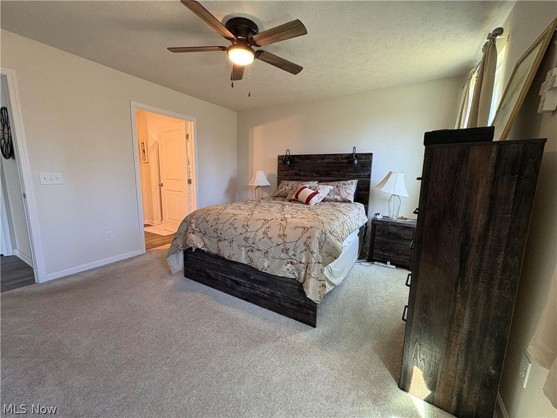 730 Whisper Creek Lane, Lodi, OH 44254 Photo 19