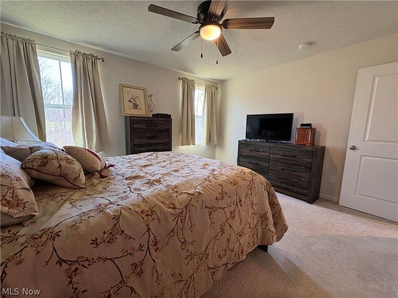 730 Whisper Creek Lane, Lodi, OH 44254 Photo 20