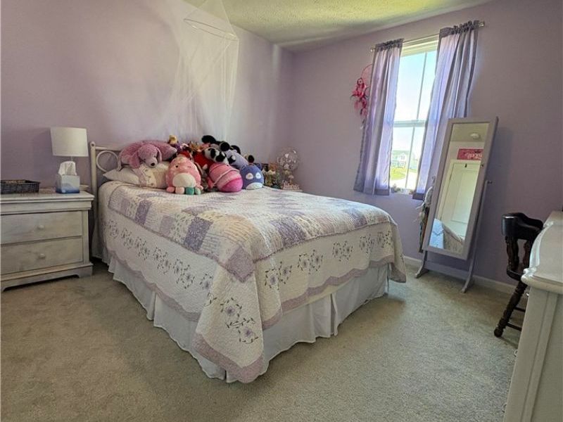 730 Whisper Creek Lane, Lodi, OH 44254 Photo 27