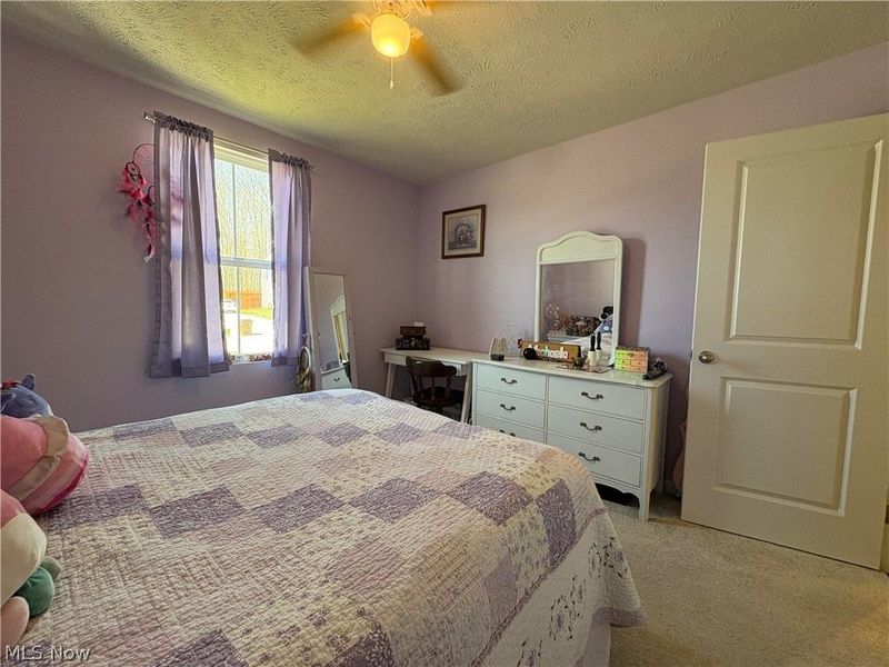 730 Whisper Creek Lane, Lodi, OH 44254 Photo 28