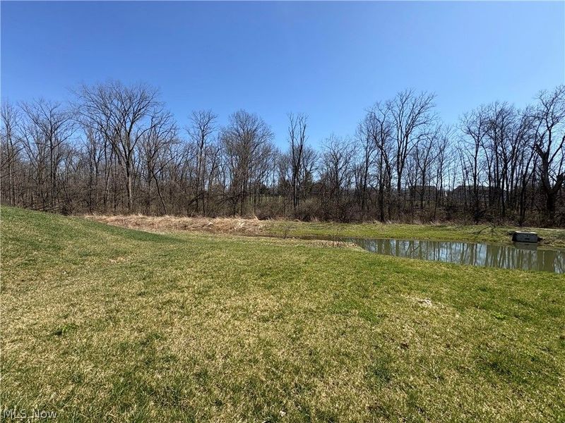 730 Whisper Creek Lane, Lodi, OH 44254 Photo 33