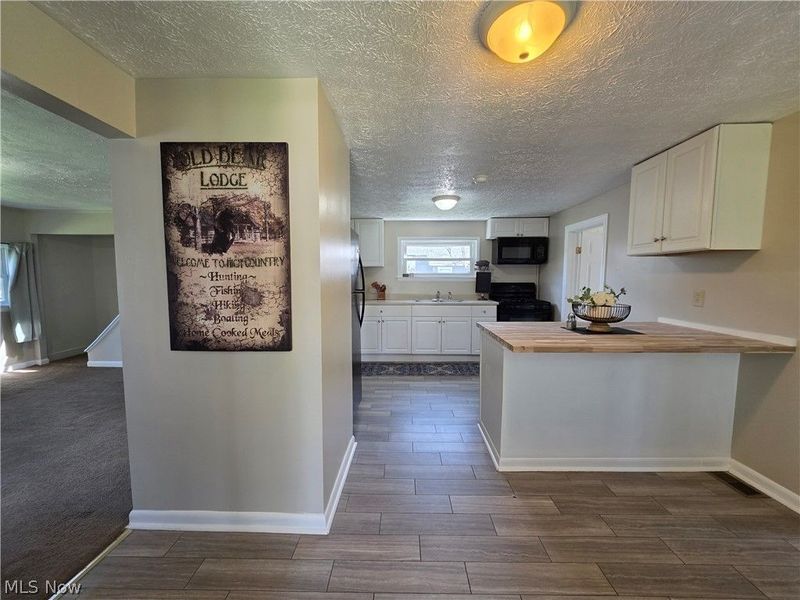 391 Louise Avenue, Kent, OH 44240 Photo 4