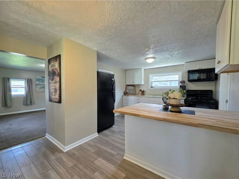 391 Louise Avenue, Kent, OH 44240 Photo 5