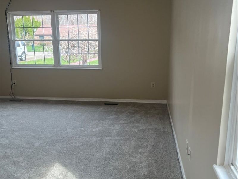 6804 Dave Drive, Madison, OH 44057 Photo 15