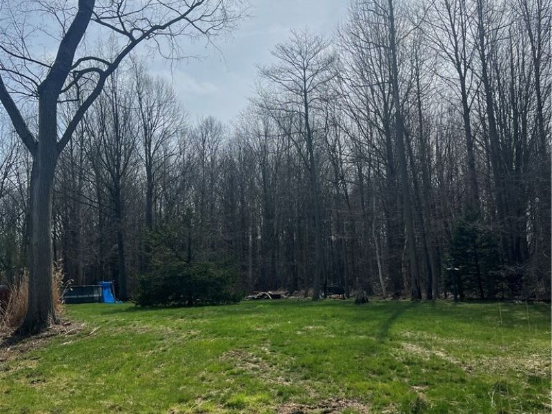 6804 Dave Drive, Madison, OH 44057 Photo 18