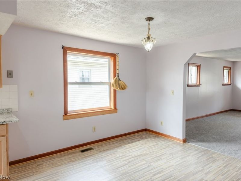 1177 Neptune Avenue, Akron, OH 44301 Photo 12