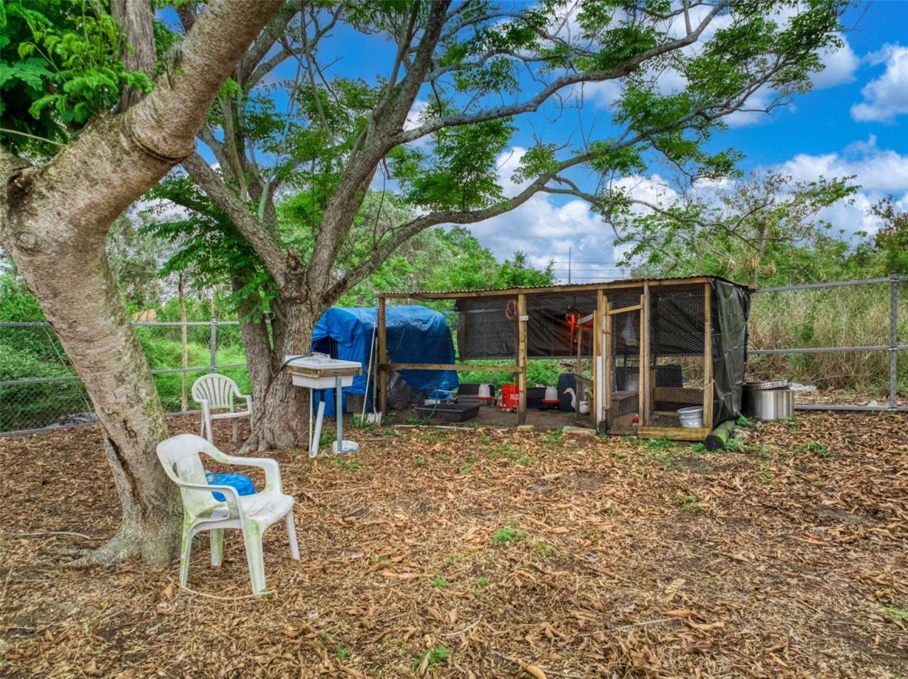 113 Anderson Street, Lake Placid, FL 33852 Photo