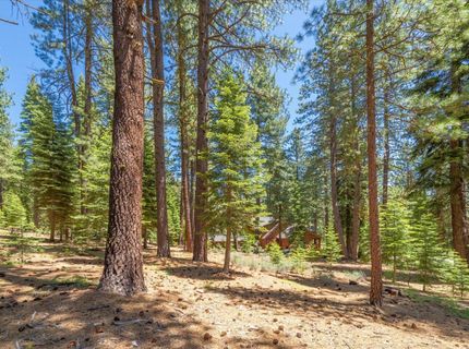 11752 Saddleback Drive, Truckee, CA 96161 Photo