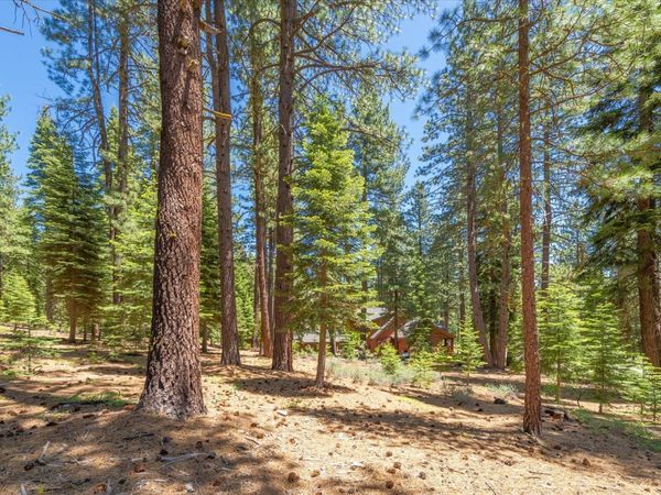 11752 Saddleback Drive, Truckee, CA 96161