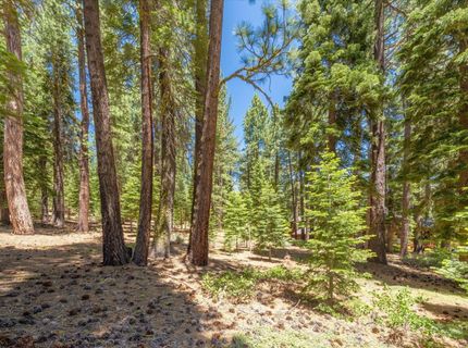 11752 Saddleback Drive, Truckee, CA 96161 Photo