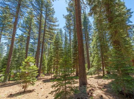 11752 Saddleback Drive, Truckee, CA 96161 Photo