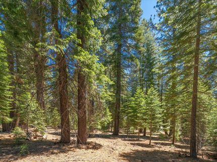 11752 Saddleback Drive, Truckee, CA 96161 Photo