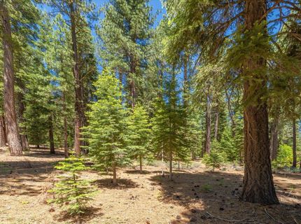 11752 Saddleback Drive, Truckee, CA 96161 Photo