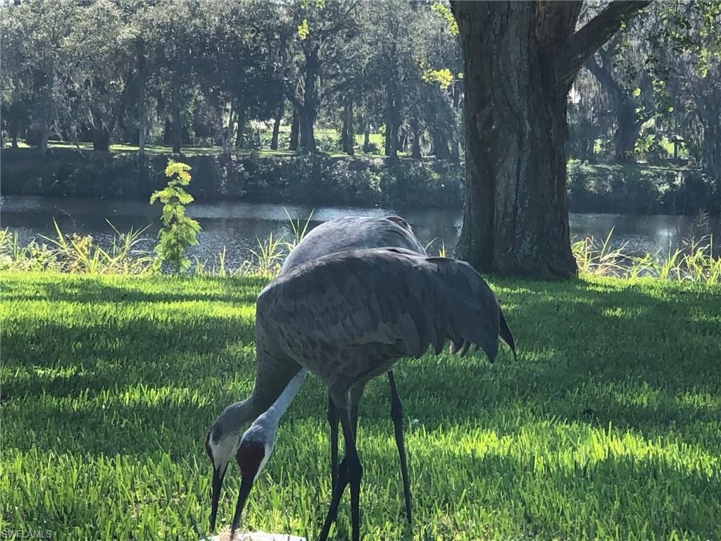 3145 Shell Ln , Fort Denaud, FL 33935 Photo