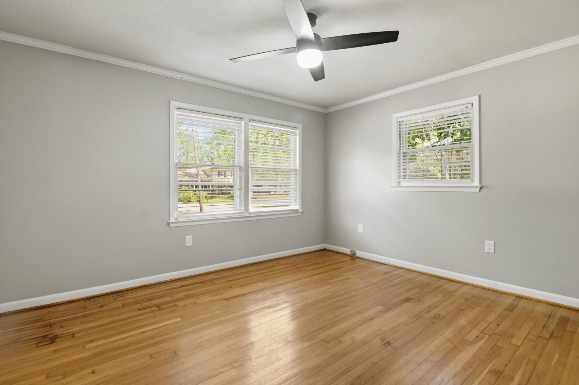 1641 Falmouth Street Photo 11