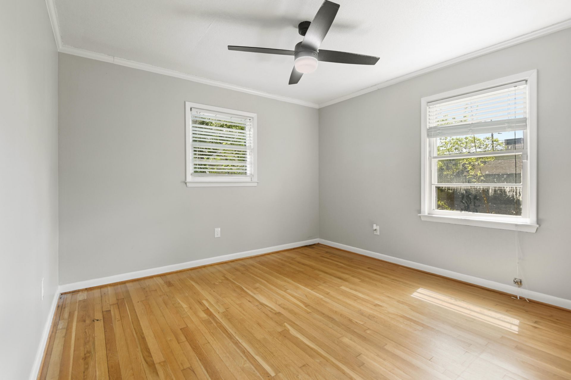 1641 Falmouth Street Photo 18