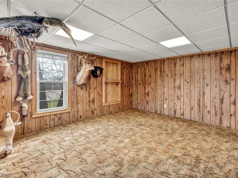 907 Duncan Street SW, Massillon, OH 44647 Photo 28