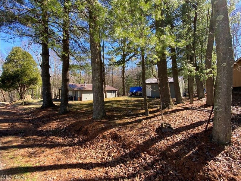 2239 Maple Drive SW, Carrollton, OH 44615 Photo 3