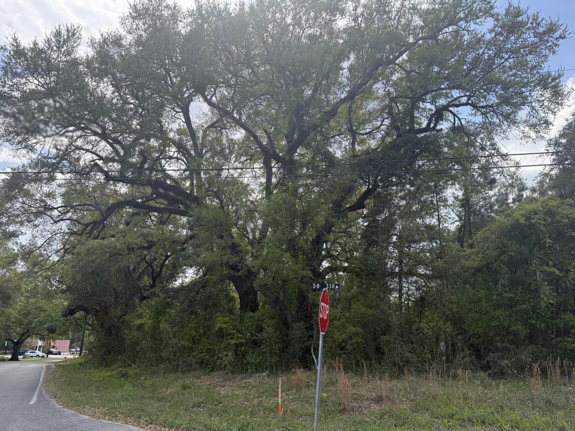 227 Red Bank Road Photo 5