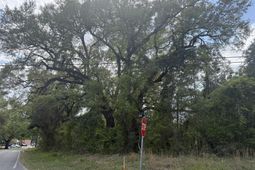 227 Red Bank Road photo 4