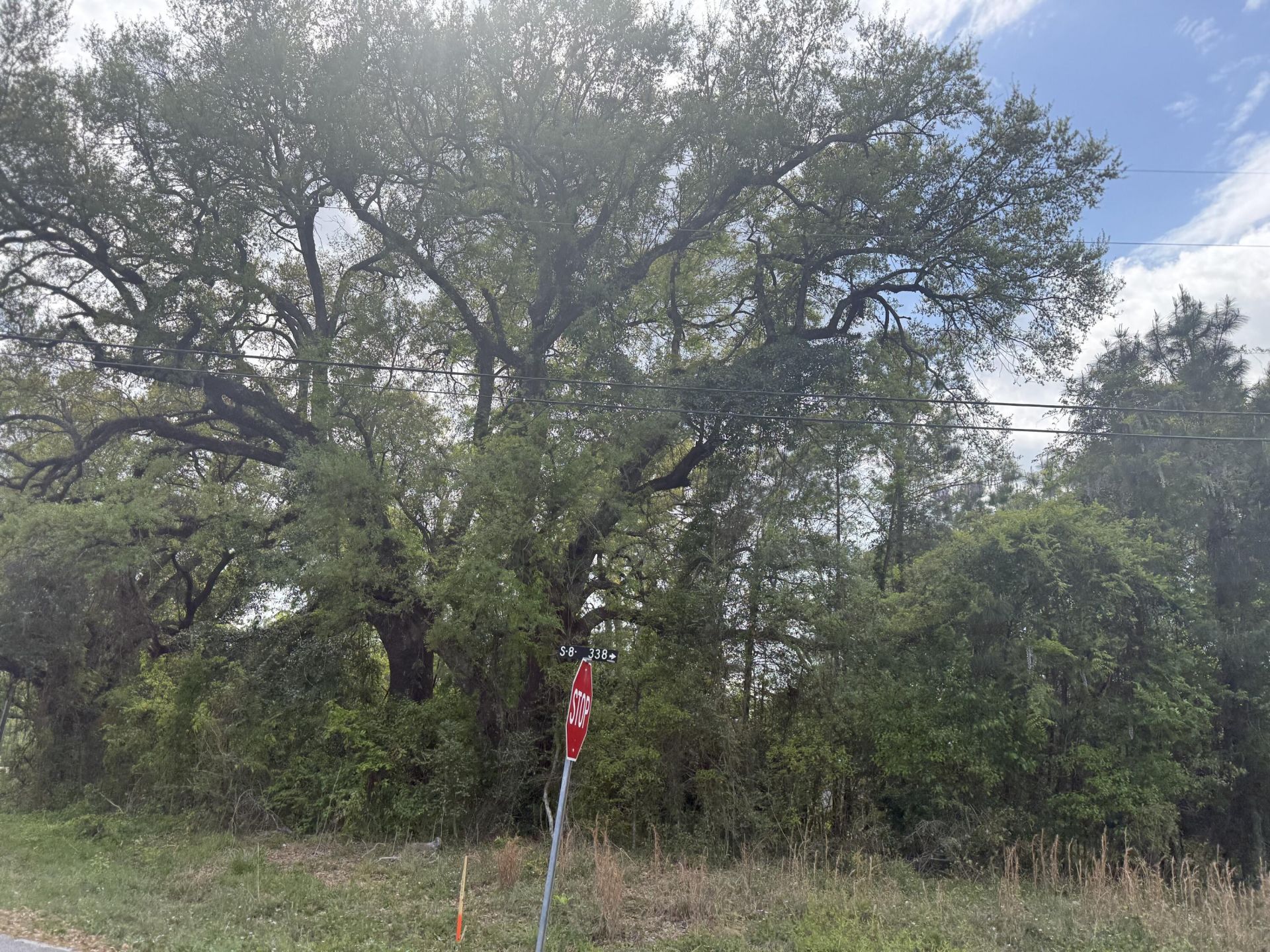 227 Red Bank Road Photo 6