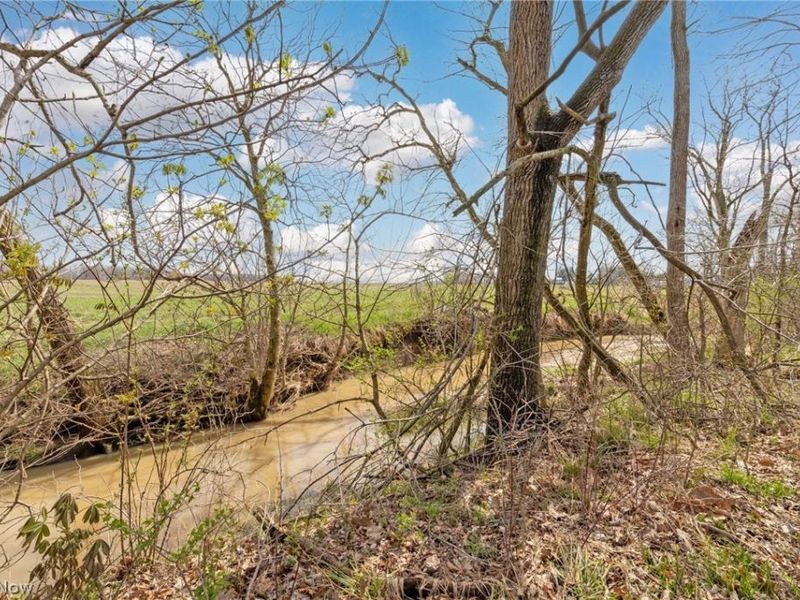 2554 Dry Lane Road N, La Rue, OH 43332 Photo 6