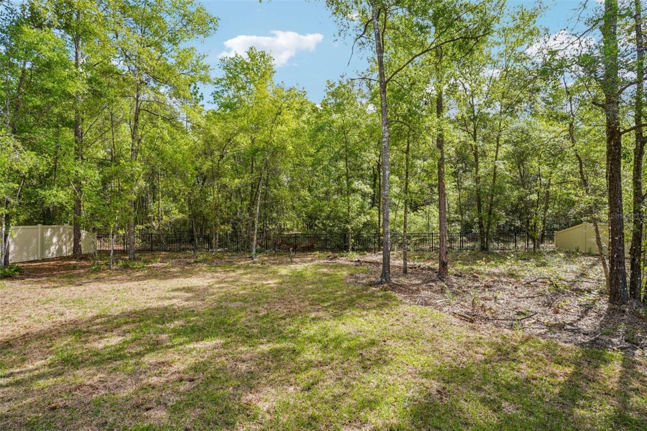 9845 N Sherman Drive , Citrus Springs, FL 34434 Photo