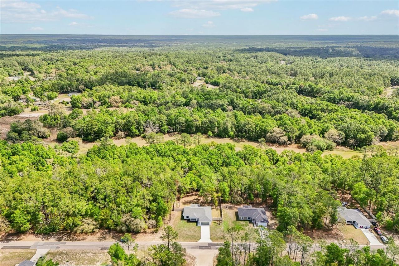 9845 N Sherman Drive , Citrus Springs, FL 34434 Photo