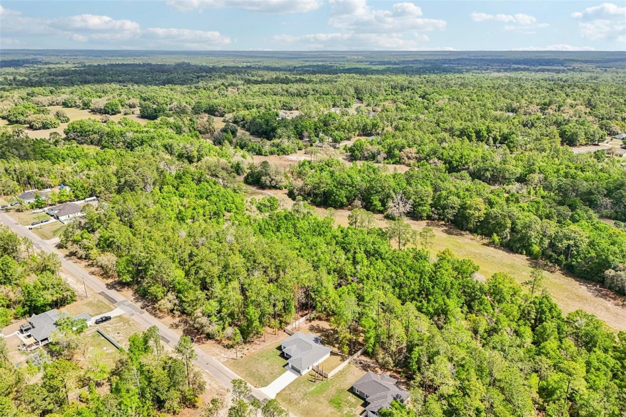 9845 N Sherman Drive , Citrus Springs, FL 34434 Photo